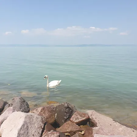 Balaton Lakeside 아파트 시오포크
