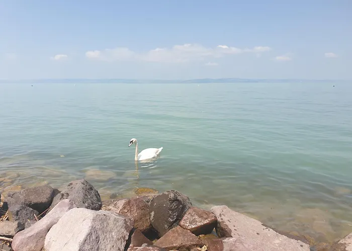 Balaton Lakeside شقة شيوفوك
